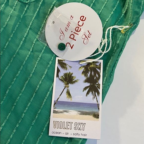 Violet Sky Jade sheer Green 2 pc top and shorts - Picture 4 of 5